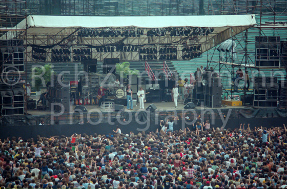 Heart Cheap Trick 1978 15