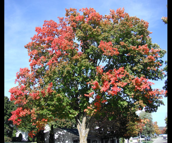 Door-County-2013-7