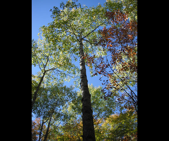 Door-County-2013-12