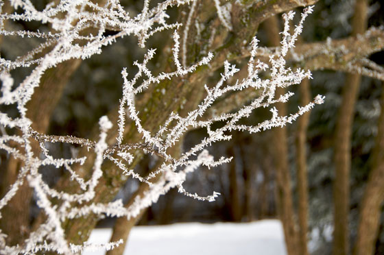 Ice-Crystals-1